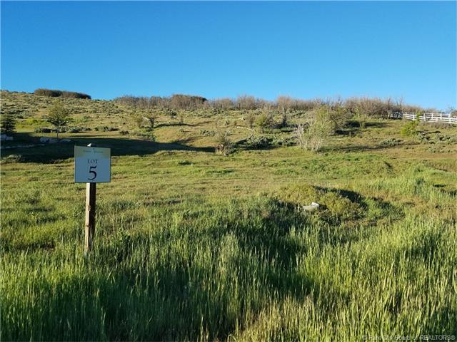 405 E Deer Ridge Dr, Midway, UT 84049