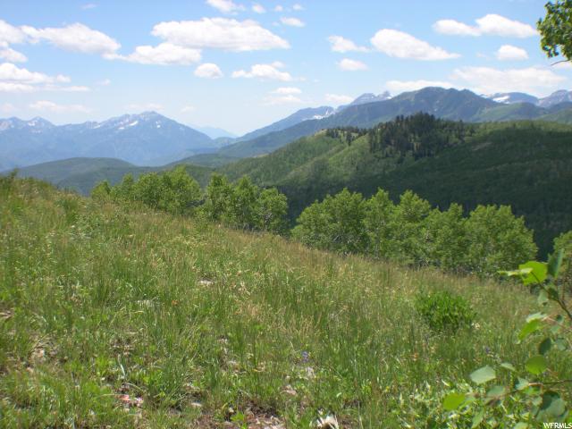 1794 W MOUNTAIN HAVEN LN, Midway, UT 84049