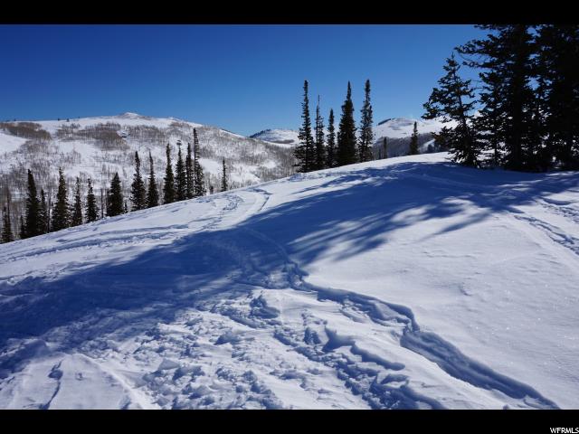 1794 W MOUNTAIN HAVEN LN, Midway, UT 84049