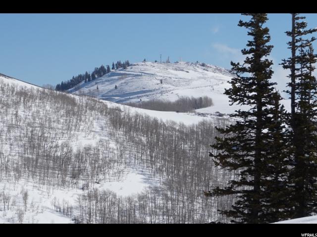 1794 W MOUNTAIN HAVEN LN, Midway, UT 84049