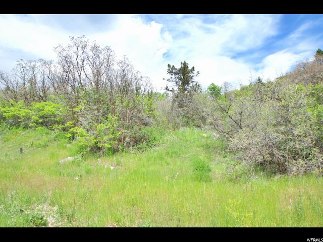 5928 W Wasatch Dr N, Mountain Green, UT 84050