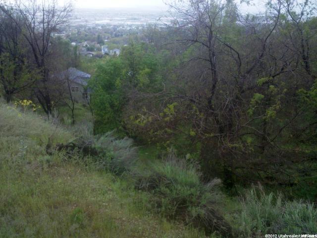 571 E LACEY WAY, North Salt Lake, UT 84054