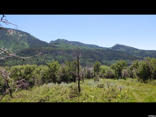 Oakley, UT 84055