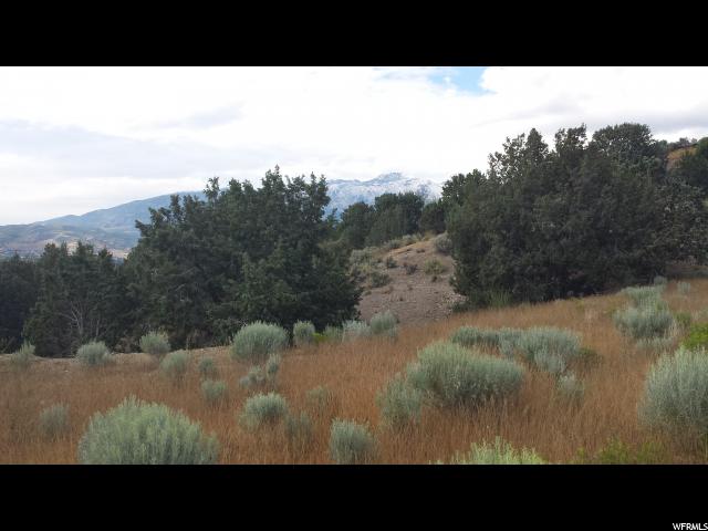 10462 N COTTONWOOD DR, Cedar Hills, UT 84062