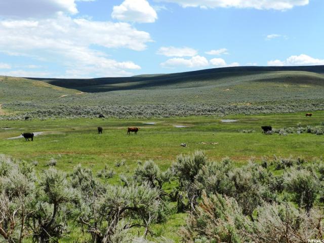 Randolph, UT 84064