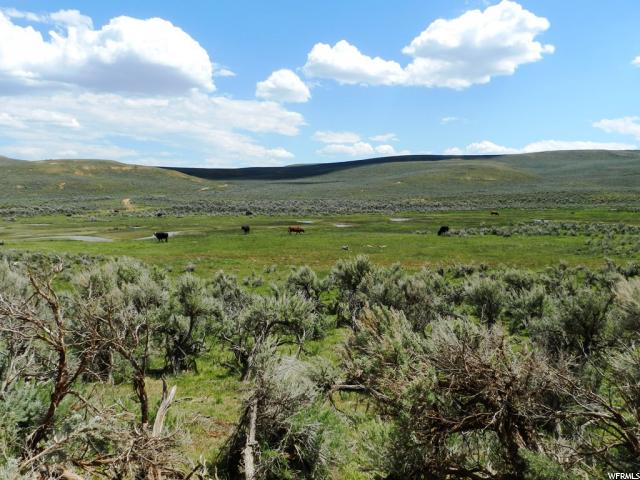Randolph, UT 84064