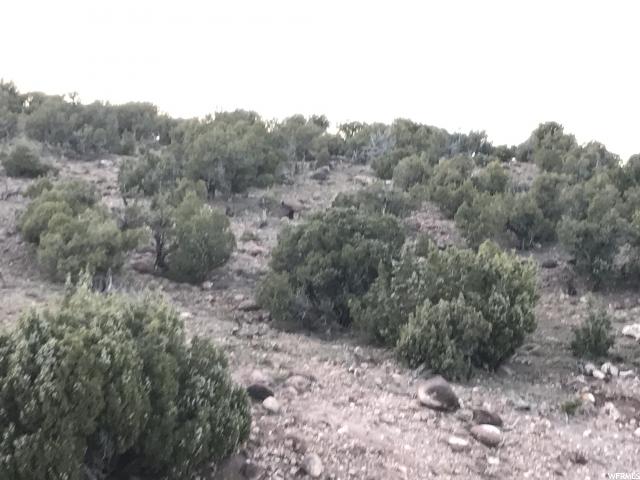 Monarch, UT 84066