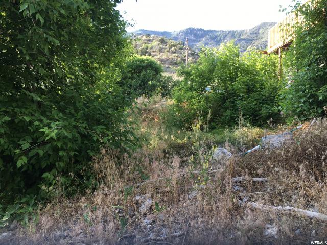 Ophir, UT 84071