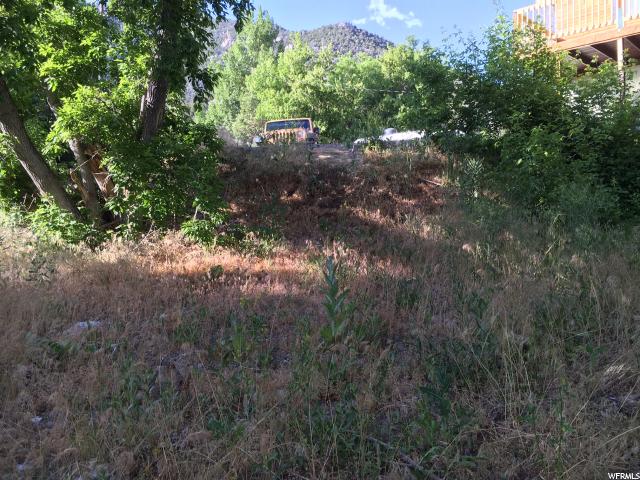 Ophir, UT 84071