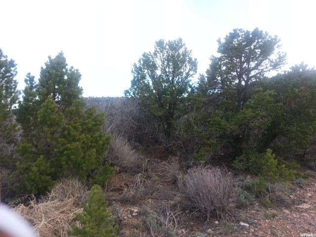 1041 LEWIS DR, Tabiona, UT 84072