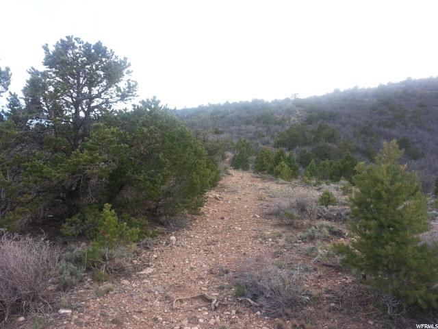 1041 LEWIS DR, Tabiona, UT 84072