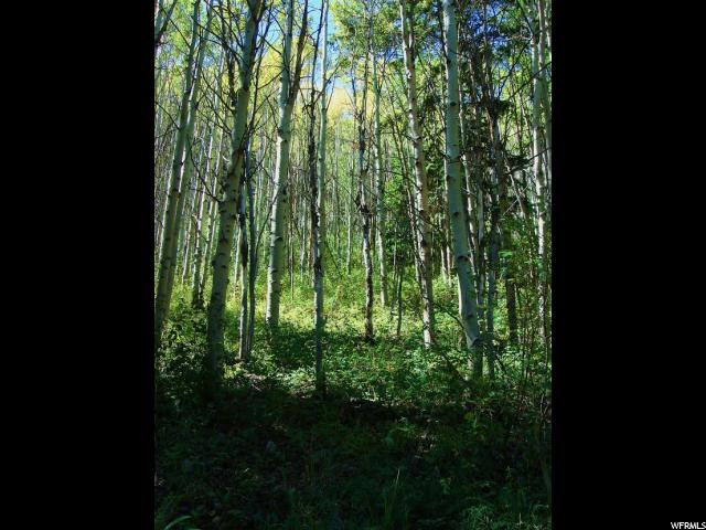 Tabiona, UT 84072