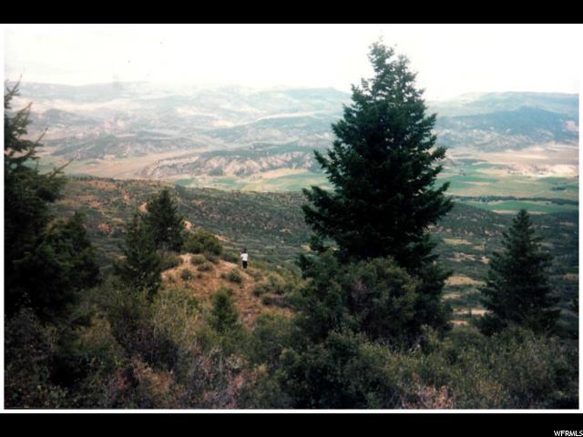 Tabiona, UT 84072