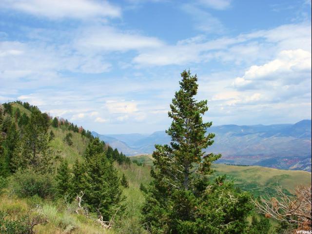 Tabiona, UT 84072