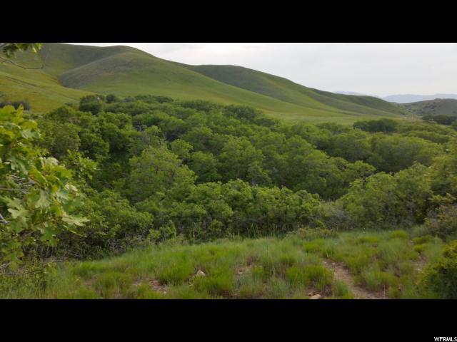672 ELK MEADOW LOOP, Tooele, UT 84074