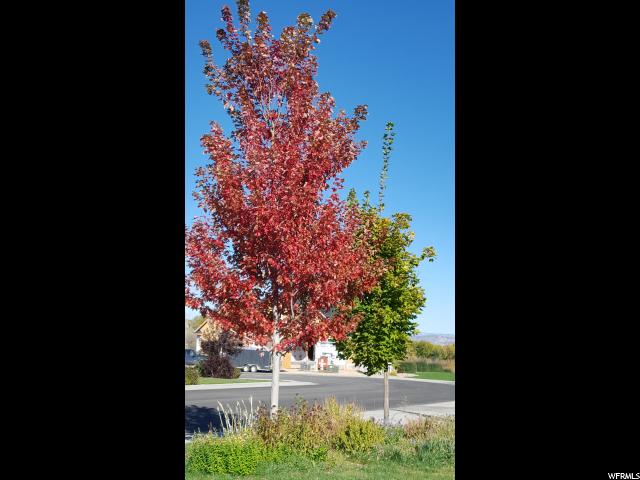 969 West 1730 South, Vernal, UT 84078