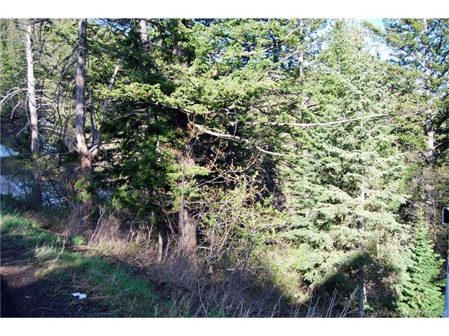 245 Matterhorn Drive; Park City, UT84098, Park City, UT 84098