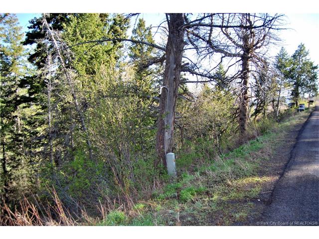 245 Matterhorn Drive; Park City, UT84098, Park City, UT 84098