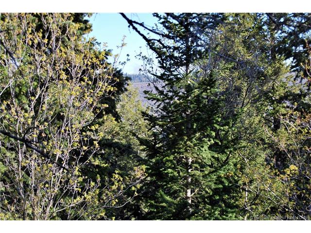 245 Matterhorn Drive; Park City, UT84098, Park City, UT 84098