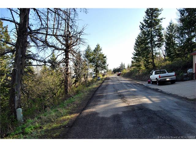 245 Matterhorn Drive; Park City, UT84098, Park City, UT 84098