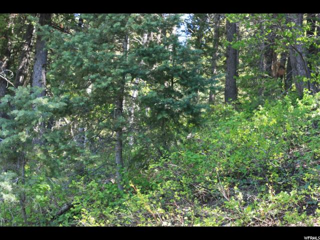 415 MATTERHORN DR, Summit Park, UT 84098