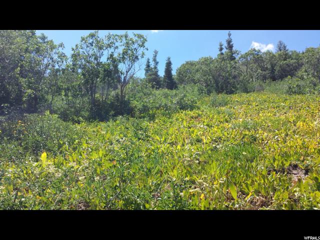 655 N MATTERHORN DR, Park City, UT 84098