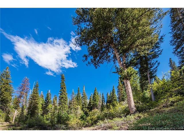 3365 Buckboard Drive, Park City, UT 84098