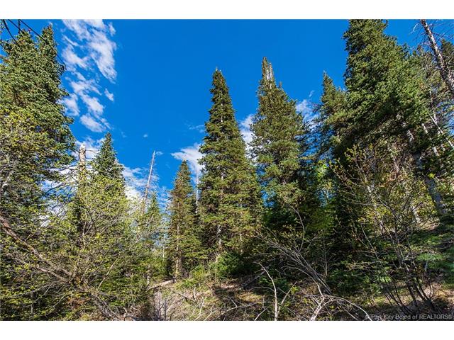 3365 Buckboard Drive, Park City, UT 84098