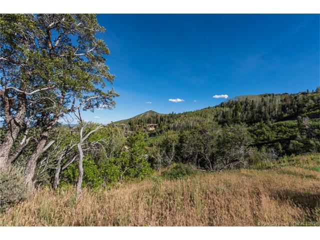 7369 Pine Ridge Drive, Park City, UT 84098
