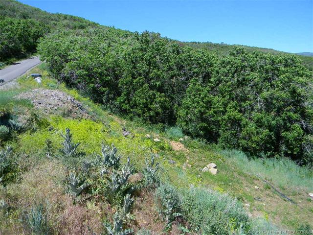 8200 Parleys Lane, Park City, UT . 84098, Park City, UT 84098