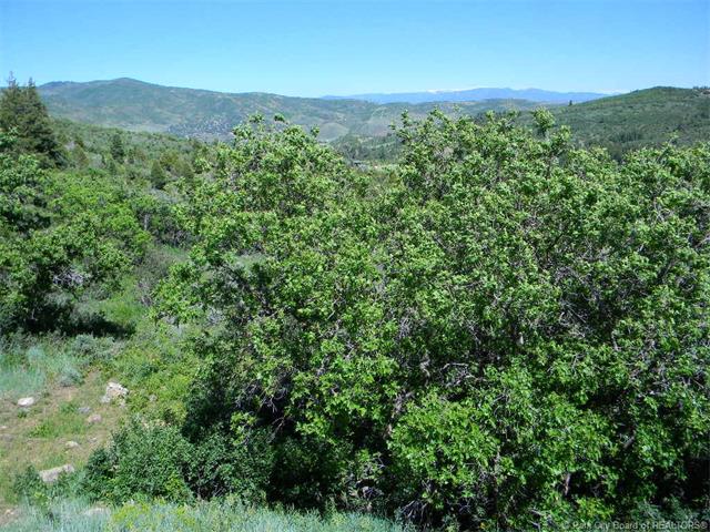 8200 Parleys Lane, Park City, UT . 84098, Park City, UT 84098