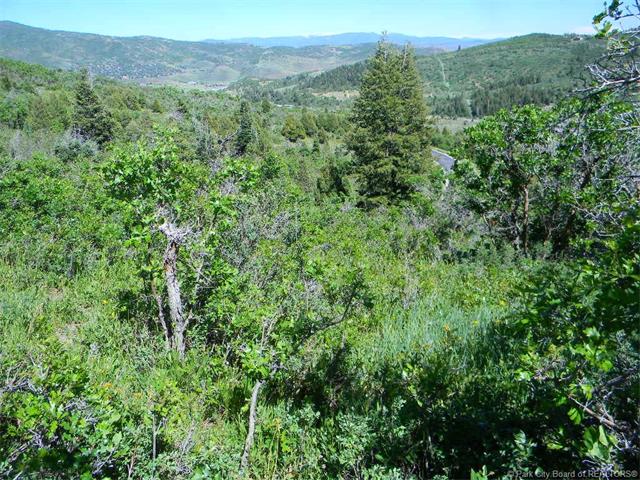 8200 Parleys Lane, Park City, UT . 84098, Park City, UT 84098