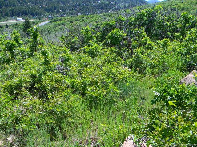 8200 Parleys Lane, Park City, UT . 84098, Park City, UT 84098