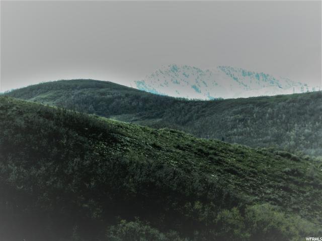 5729 E Pioneer Fork Rd, Emigration Canyon, UT 84108