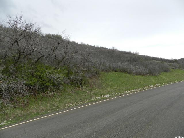 5729 E Pioneer Fork Rd, Emigration Canyon, UT 84108