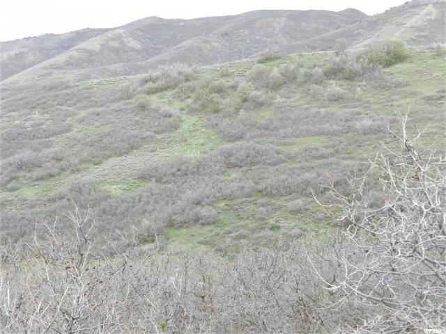 5729 E Pioneer Fork Rd, Emigration Canyon, UT 84108