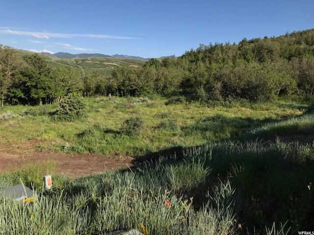 696 N FREEZE CREEK CIR, Emigration Canyon, UT 84108