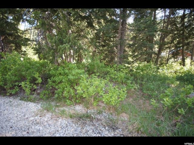 6272 S MOOSE RUN LN E, Brighton, UT 84121