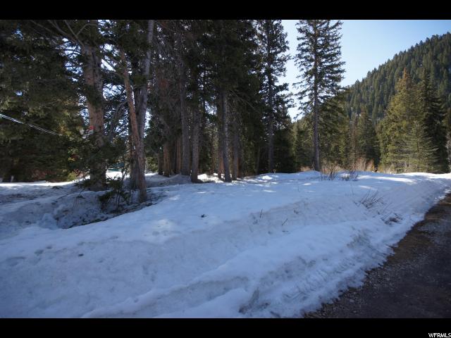 6272 S MOOSE RUN LN E, Brighton, UT 84121