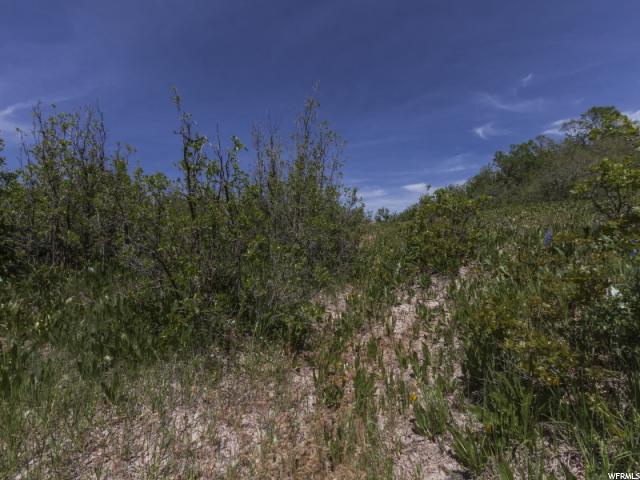 Eden, UT 84310