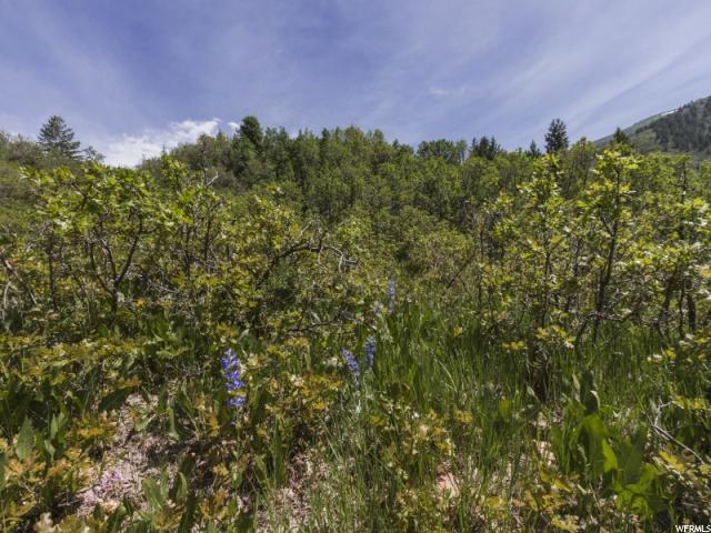 Eden, UT 84310