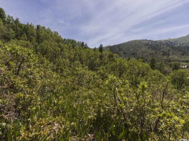Eden, UT 84310