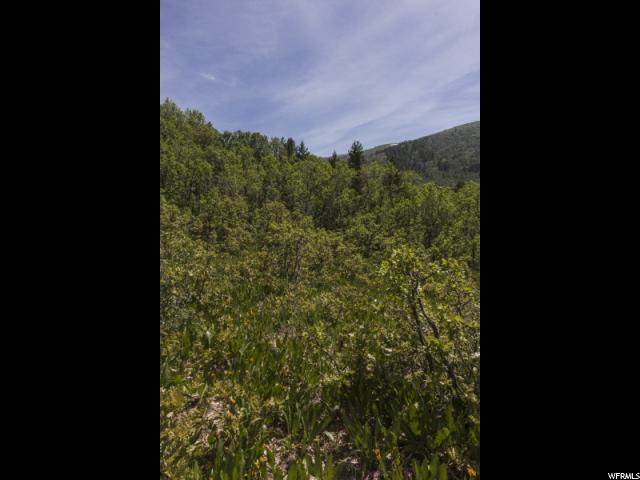 Eden, UT 84310