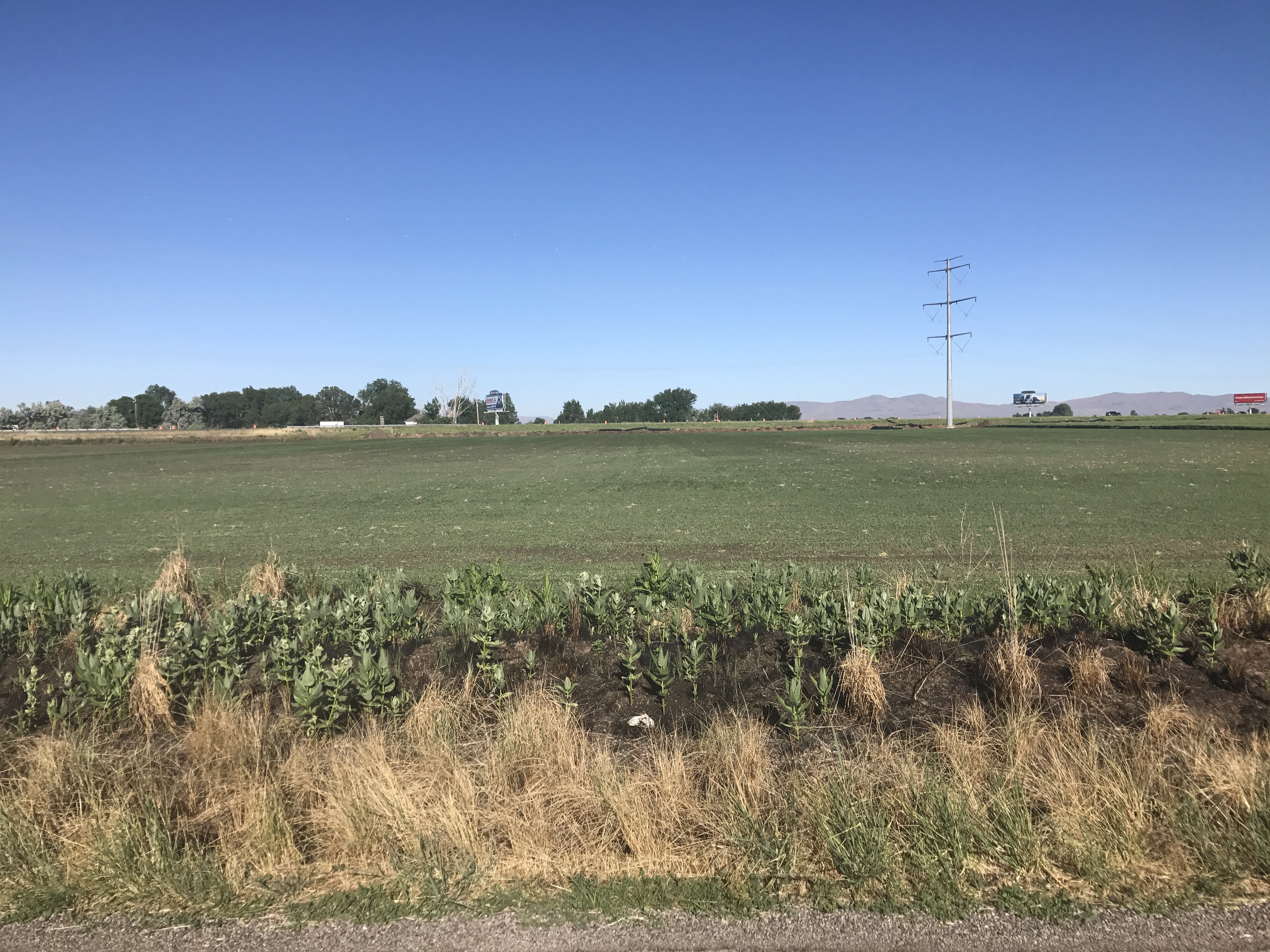 7309 North 3600 West, Honeyville, UT 84314