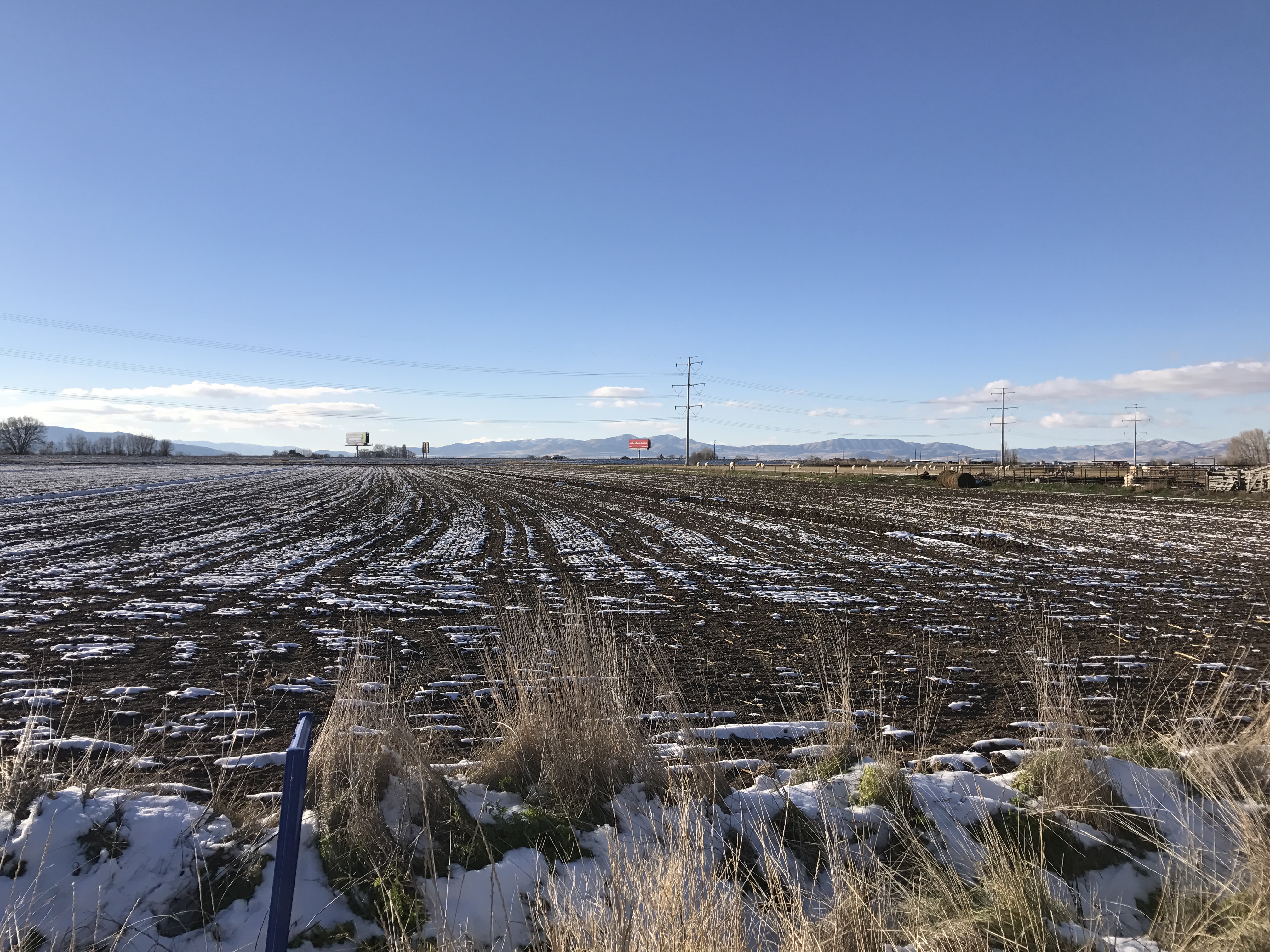 7357 North 3600 West, Honeyville, UT 84314