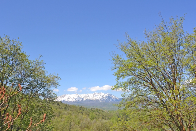 257 South 10450 East, Huntsville, UT 84317