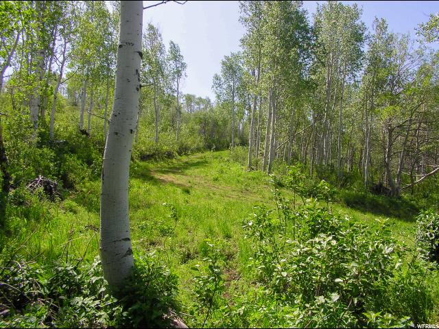 32 LEGACY RANCH, Avon, UT 84328