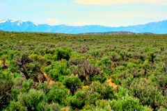57000 West 10400 North, Park Valley, UT 84329