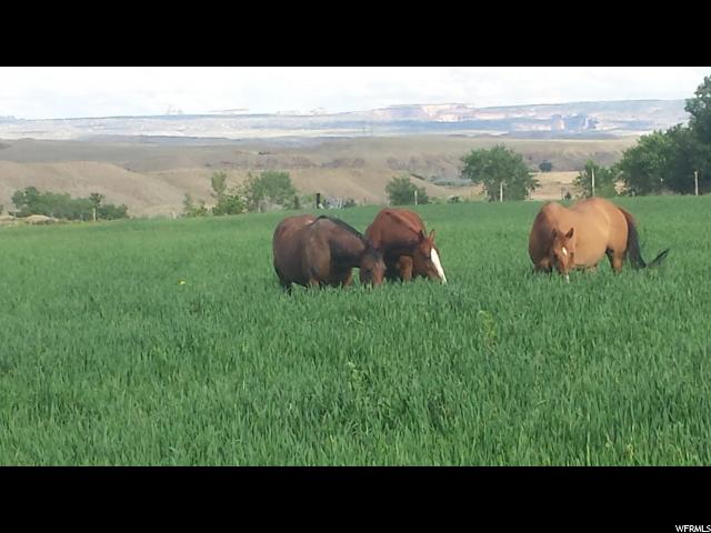 600 N 600 E, Castle Dale, UT 84513