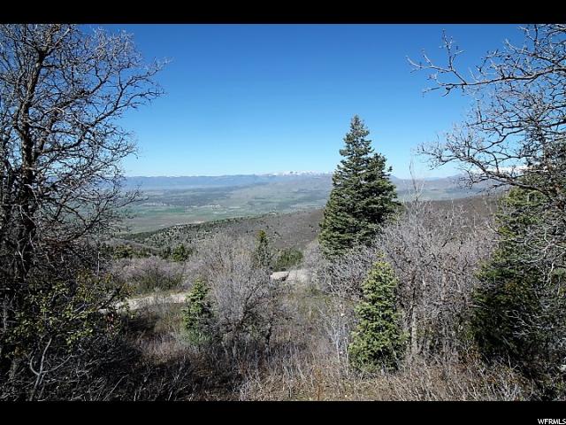 14025 E THADS PEAK DR, Fairview, UT 84629